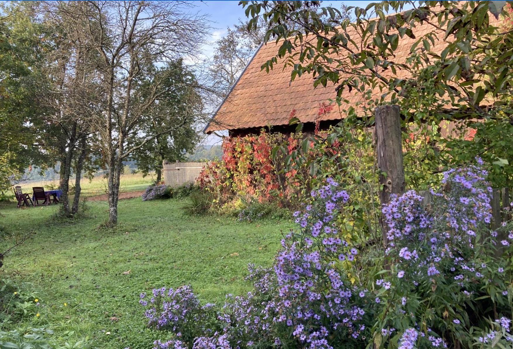 Naturpark Ferienhaus Szalafo Exterior photo