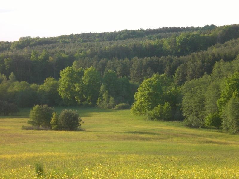 Naturpark Ferienhaus Szalafo Exterior photo